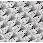 10D Premade Lash Fans Factory - High Quality 0.05 CC