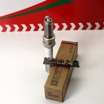Spark Plug Factory - OEM for Chery Tigo 1.5T Engines