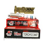 Spark Plug Factory - OEM Turbocharged for Audi Tiguan Golf A6