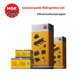 NGK ignition coil