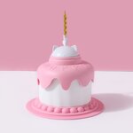 Pet Birthday Bowl Factory - OEM/ODM Multifunctional Cake Bowl with Candle