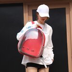 Pet Backpack Manufacturer - OEM/ODM Transparent Space Capsule Breathable Bag