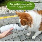 Pet Water Bottle Manufacturer - OEM/ODM 550ml Portable Outdoor Travel