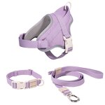 Dog Harness Set Manufacturer - OEM/ODM Custom Biodegradable Buckles Set
