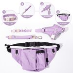 Dog Harness Set Factory - OEM/ODM Custom Logo Eco Friendly Set
