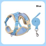 Dog Harness Set Manufacturer - OEM/ODM Custom Logo Colorful Mesh Breathable