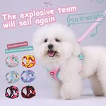 Dog Harness Set Manufacturer - OEM/ODM Custom Logo Colorful Mesh Breathable