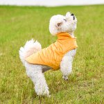 Dog Jacket Manufacturer - OEM/ODM Fleece Lined Warm for Cold Weather