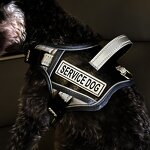 Dog Vest Manufacturer - OEM/ODM Custom No-Pull Reflective with Handle