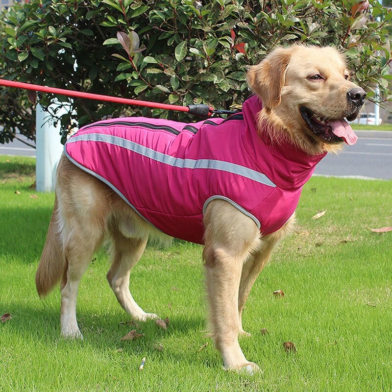 Dog Coat Factory - OEM/ODM Rainproof Reflective Windproof Warm Coat