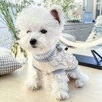 Dog Sweater Factory - OEM/ODM Cute Christmas Woolen Knitted with Bow