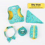 Dog Leash Set Manufacturer - OEM/ODM Custom Logo Polyester with Poop Bag Holder