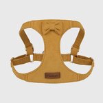 Dog Harness Set Factory - OEM/ODM Custom Logo Fashion Textured Design