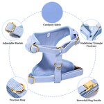 Dog Harness Set Factory - OEM/ODM Luxury No Pull Leash Set