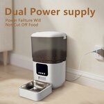 Pet Feeder Manufacturer - OEM/ODM 6L Automatic Timed Dispenser