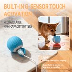 Interactive Pet Toy Manufacturer - OEM/ODM Smart Ball for Cat Dog