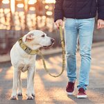 Dog Leash Factory - OEM/ODM Two Handle Tactical Training Leash