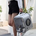 Pet Carrier Factory - OEM/ODM Custom Animal Collapsible Backpack