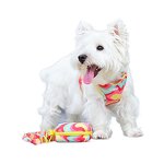 Dog Leash Set Manufacturer - OEM/ODM Custom Logo Polyester with Poop Bag Holder