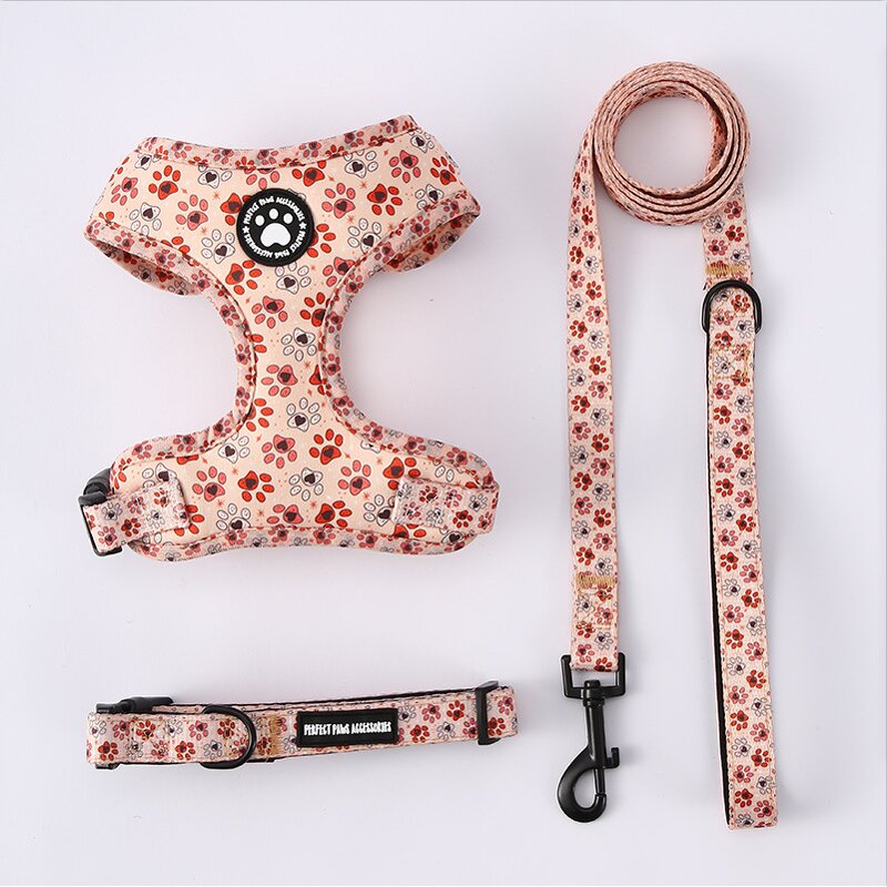 Dog Harness Set Factory - OEM/ODM Custom Design Adjustable Bandana Vest