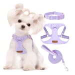 Dog Harness Set Factory - OEM/ODM Custom Logo Fashion Textured Design