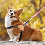 Dog Harness Factory - OEM/ODM Reflective Y Shape Breathable Comfort