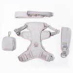 Dog Harness Set Manufacturer - OEM/ODM Luxury No Pull Leash Set