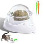 Cat Toy Manufacturer - OEM/ODM Rotating Catnip Ball Chew Toy