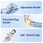 Dog Harness Set Factory - OEM/ODM Luxury No Pull Leash Set