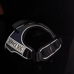 Dog Harness Factory - OEM/ODM No-Pull Night Reflective Adjustable Vest