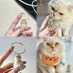 Pet Hair Memorial Manufacturer - OEM/ODM Transparent Keepsake Capsule
