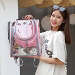 Pet Backpack Factory - OEM/ODM Capsule Panoramic Transparent Backpack