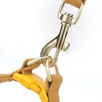 Dog Harness Set Factory - OEM/ODM Custom Logo Fashion Textured Design