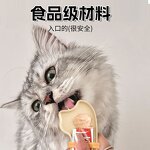 Pet Feeding Spoon Manufacturer - OEM/ODM Snack Squeezer Tool Cat Spoon