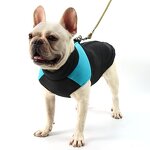 Dog Jacket Manufacturer - OEM/ODM Wholesale Waterproof Warm Winter Coat