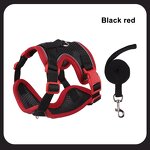 Dog Harness Set Manufacturer - OEM/ODM Custom Logo Colorful Mesh Breathable