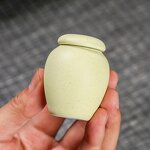 Pet Urn Manufacturer - OEM/ODM Ceramic for Small Animal Ashes