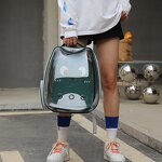 Cat Backpack Factory - OEM/ODM Bubble Bag Airline Approved Capsule