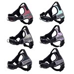 Dog Harness Factory - OEM/ODM No-Pull Night Reflective Adjustable Vest