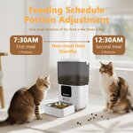 Pet Feeder Manufacturer - OEM/ODM 6L Automatic Timed Dispenser