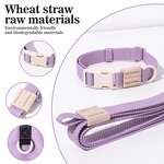 Dog Harness Set Factory - OEM/ODM Custom Logo Eco Friendly Set