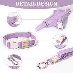 Dog Harness Set Factory - OEM/ODM Custom Logo Eco Friendly Set