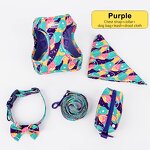 Dog Leash Set Manufacturer - OEM/ODM Custom Logo Polyester with Poop Bag Holder