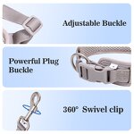 Dog Harness Set Manufacturer - OEM/ODM Luxury No Pull Leash Set