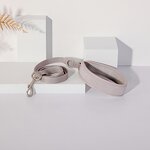 Dog Harness Set Manufacturer - OEM/ODM Custom No Pull Reflective Vest