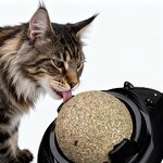 Cat Toy Manufacturer - OEM/ODM Rotating Catnip Ball Chew Toy