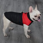 Dog Jacket Manufacturer - OEM/ODM Wholesale Waterproof Warm Winter Coat