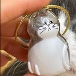 Pet Hair Memorial Manufacturer - OEM/ODM Transparent Keepsake Capsule