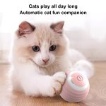 Interactive Cat Toy Manufacturer - OEM/ODM Automatic 360 Self-Rotating Ball