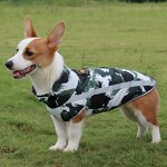 Dog Coat Factory - OEM/ODM OEM/ODM Geometric Graffiti Winter Jacket